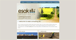 Desktop Screenshot of esakconsulting.com
