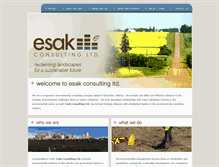 Tablet Screenshot of esakconsulting.com